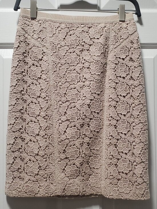 Ann Taylor Dresses & Skirts - Ann Taylor Lined Lace Pencil Skirt in Pink | 0